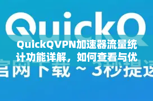 QuickQVPN加速器流量统计功能详解，如何查看与优化你的网络使用